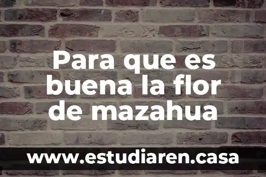 Que es valance organico redox 4 Para que es buena la flor de mazahua