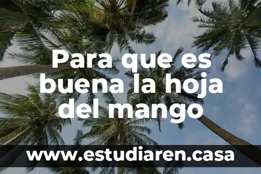 Para que es buena la hoja del mango