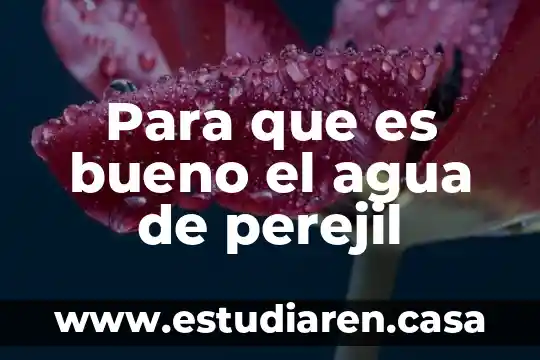 Para que es bueno el agua de perejil