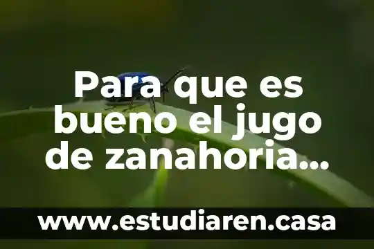 Para que es bueno el jugo de zanahoria con naranja