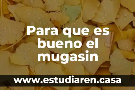 Para que es bueno el mugasin