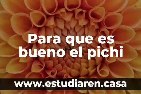 Para que es bueno el pichi