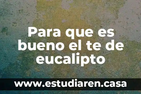 Para que es bueno el te de eucalipto