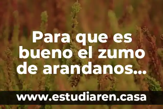 Qué es bueno para lo quemado del sol 5 Para que es bueno el zumo de arandanos rojos