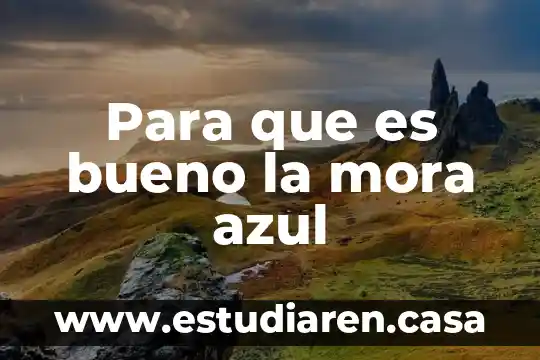 Para que es bueno la mora azul
