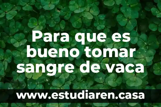 Para que es bueno tomar sangre de vaca