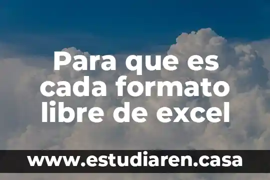 Para que es cada formato libre de excel