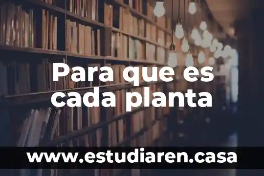Para que es cada planta
