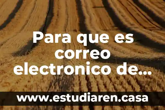 Qué es el distribuidor electrónico de un vocho fuel injection 3 Para que es correo electronico de de tesoreria