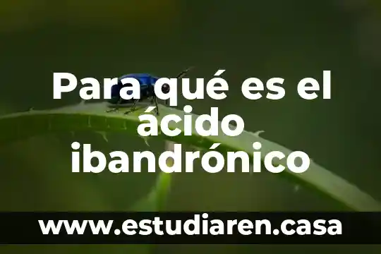 Que es el saldo medio por periodo de liquidaci贸n 4 Para qu茅 es el 谩cido ibandr贸nico
