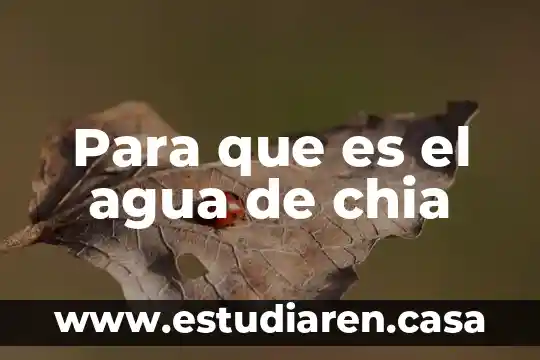 Para que es el agua de chia