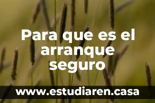 Que es cct mod lg g3 8 Para que es el arranque seguro