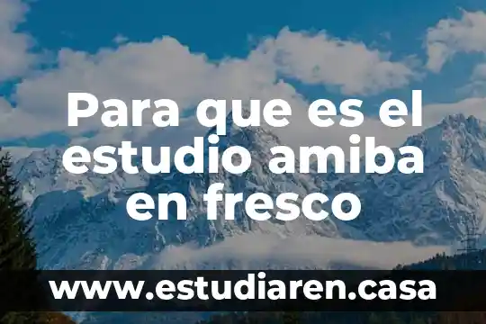 Qué es un objeto de estudio 4 Para que es el estudio amiba en fresco