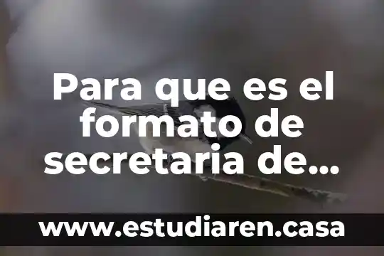 Cuando sientes que estas teniendo relaciones que es esoterico 3 Para que es el formato de secretaria de relaciones exteriores