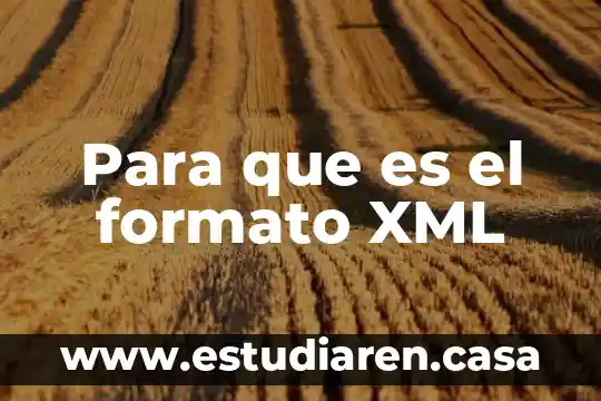 Que es xml data security 3 Para que es el formato XML