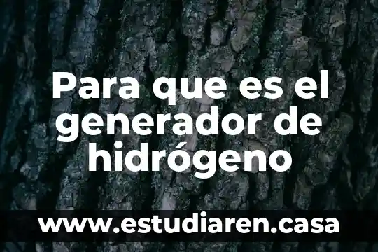 Qué es un generador en electrónica 3 Para que es el generador de hidrógeno