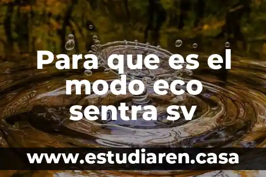 Eco art que es 4 Para que es el modo eco sentra sv