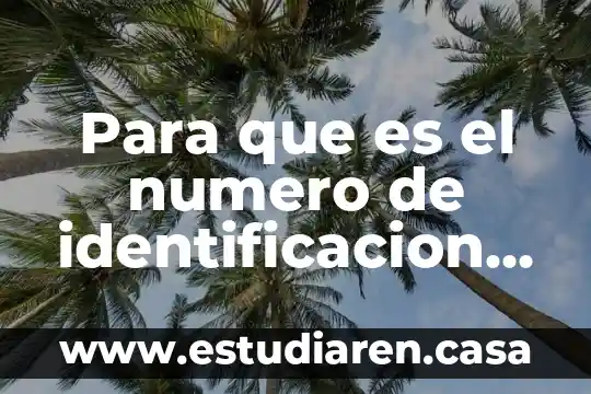 Para que es el numero de identificacion tributaria