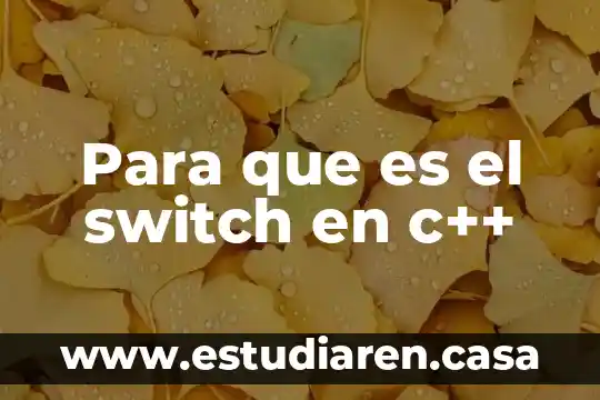 Que es el gdicharset en c 4 Para que es el switch en c++