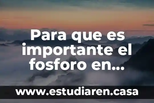 Para que es importante el fosforo en nuestro cuerpo