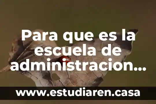 ¿Qué es Meta Administración Emprenetur? 5 Para que es la escuela de administracion cientifica