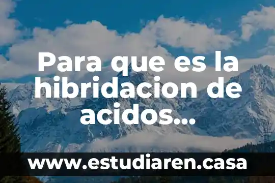 Qué es ácidos binarios y usos 7 Para que es la hibridacion de acidos nucleicos