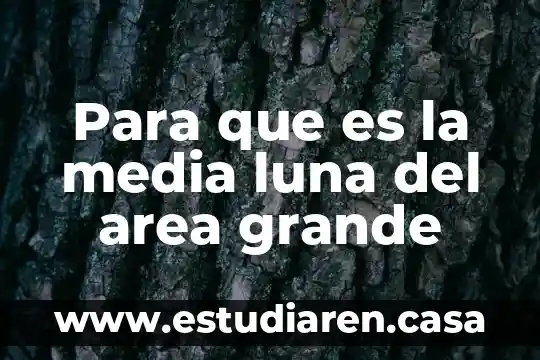Para que es la media luna del area grande