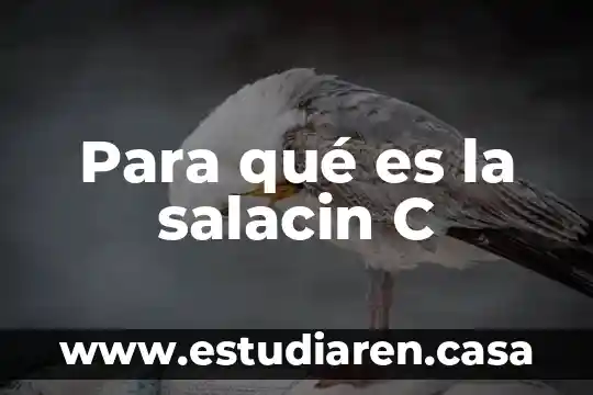 If c que es 4 Para qué es la salacin C