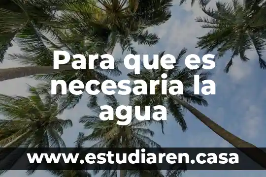 Para que es necesaria la agua