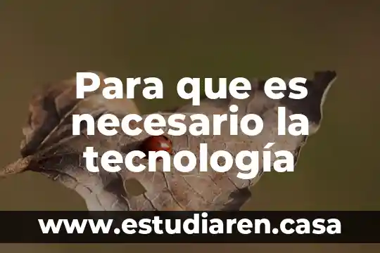 Que es una metropoli en tecnologia 3 Para que es necesario la tecnología