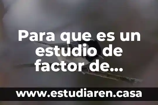 Para que es un estudio de factor de coagulación
