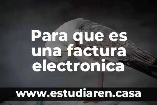 Para que es una factura electronica