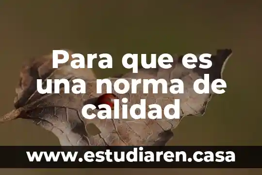 Que es sop en calidad 5 Para que es una norma de calidad