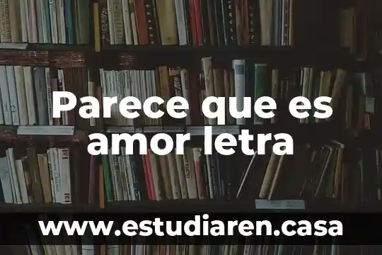 Que es sobredosis de amor 3 Parece que es amor letra