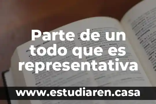 Qué es la parte y la contraparte en tv 8 Parte de un todo que es representativa