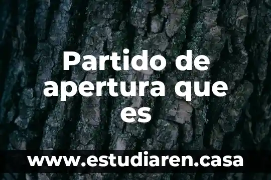 Partido de apertura que es