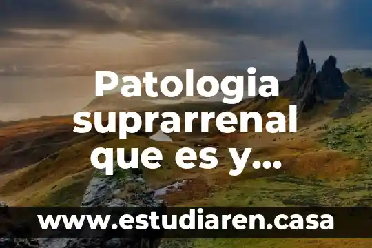 Qué es un médico cirujano en patología clínica 4 Patologia suprarrenal que es y causas