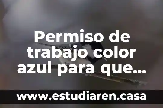 Permiso de trabajo color azul para que es