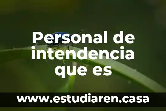 Personal de intendencia que es