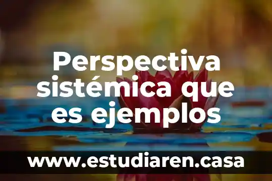 Que es planeación sistemica 3 Perspectiva sistémica que es ejemplos