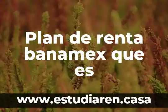 Que es un plan de investigaciom 5 Plan de renta banamex que es