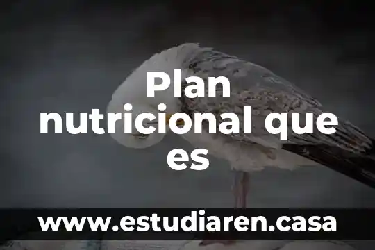 Vigilancia nutricional que es 3 Plan nutricional que es