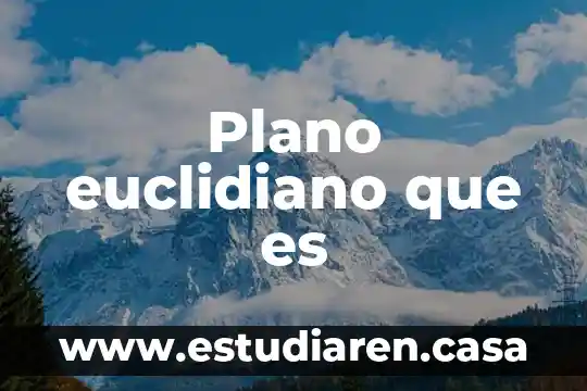 Plano euclidiano que es