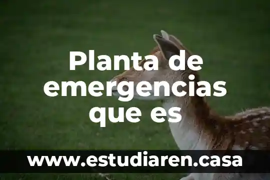 Planta de emergencias que es