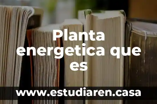 Planta energetica que es