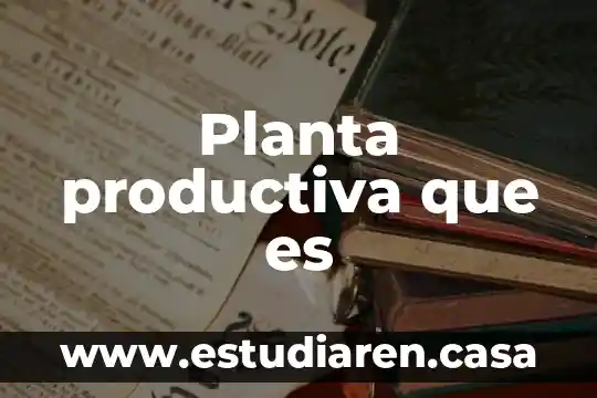Planta productiva que es