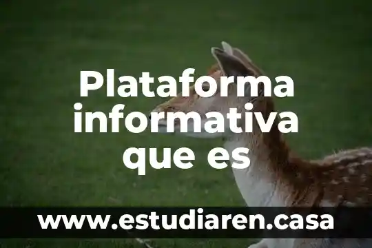 Plataforma informativa que es