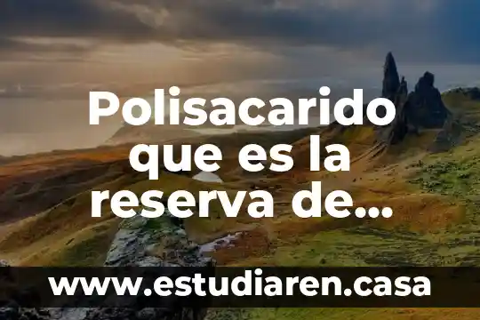Polisacarido que es la reserva de energia animal
