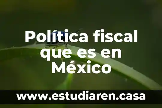 Política fiscal que es en México