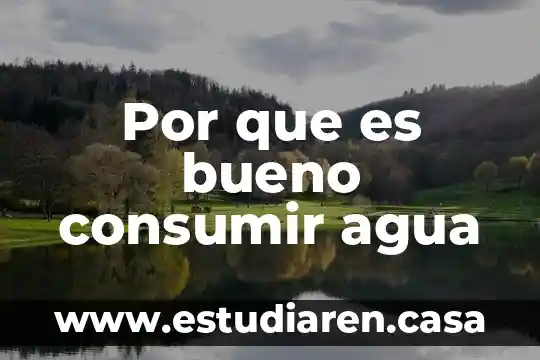 Por que es bueno consumir agua